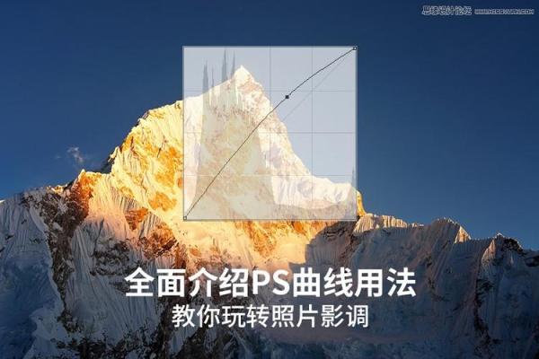 全面解析厦门大学选课系统的功能