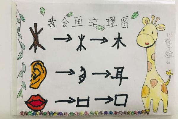 探秘汉字：手掌的'掌'字如何正