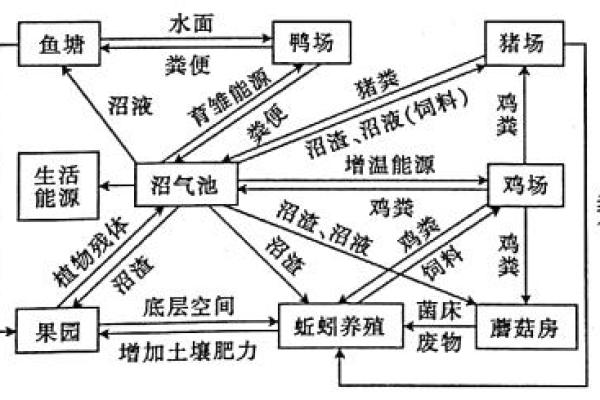 如何正确养殖蚯蚓以实现高效增产